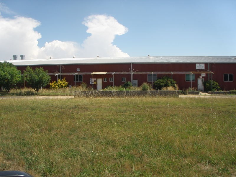 12 Ampol Street, Armidale NSW 2350