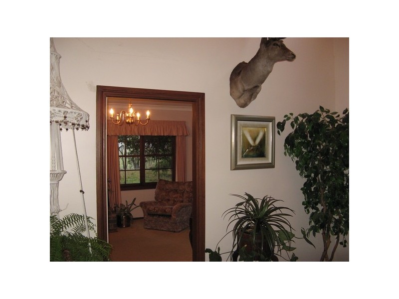 225 Simmons Road, Armidale NSW 2350