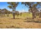 225 Simmons Road, Armidale NSW 2350