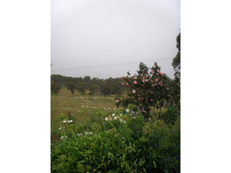 Armidale NSW 2350