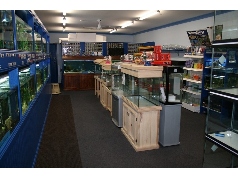 109-113 Beardy Street, Armidale NSW 2350