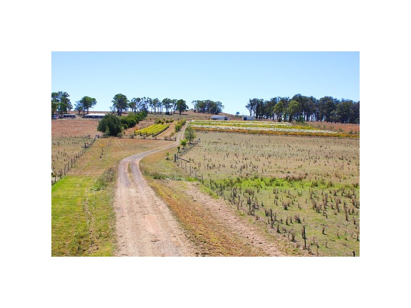 884 Boorolong Road, Armidale NSW 2350