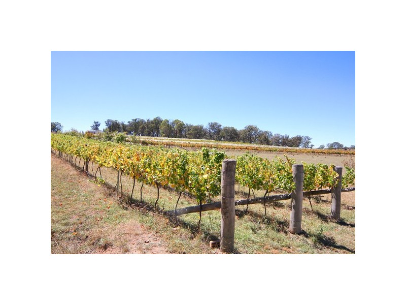 884 Boorolong Road, Armidale NSW 2350