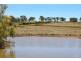 884 Boorolong Road, Armidale NSW 2350