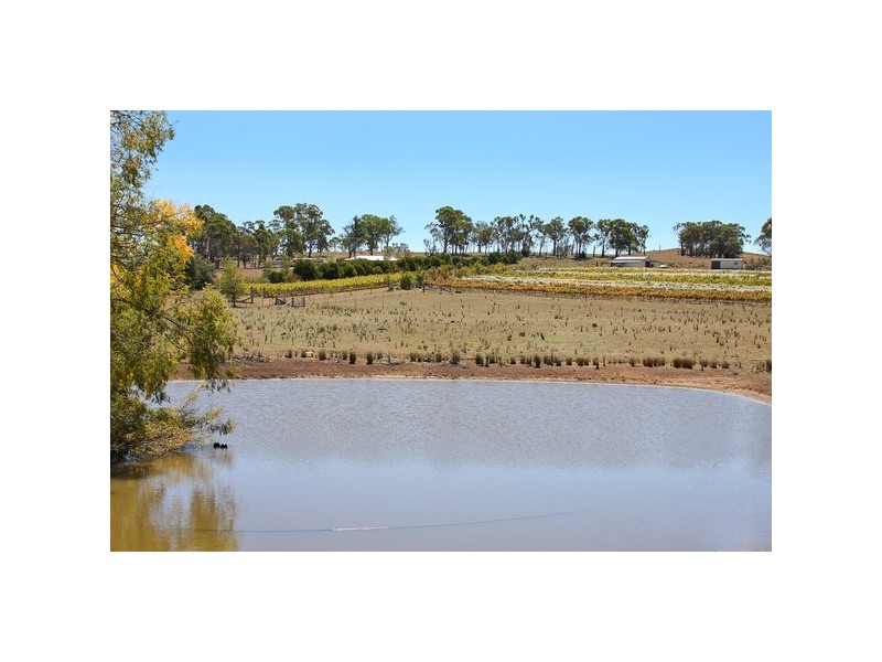 884 Boorolong Road, Armidale NSW 2350