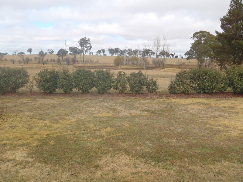 Saumarez Ponds NSW 2350