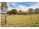 Saumarez Ponds NSW 2350