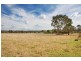 Saumarez Ponds NSW 2350