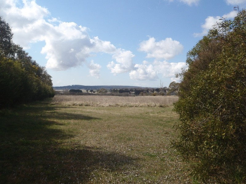 Armidale NSW 2350