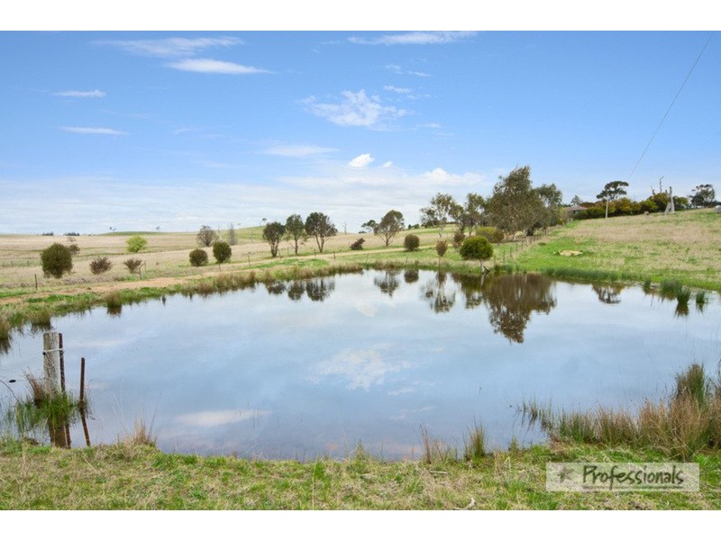 Armidale NSW 2350