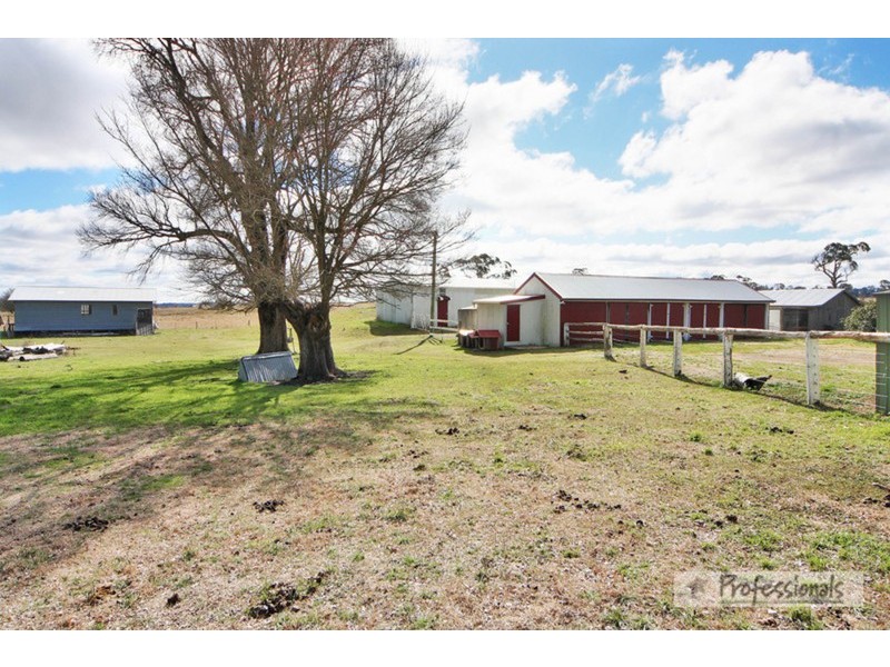 Armidale NSW 2350
