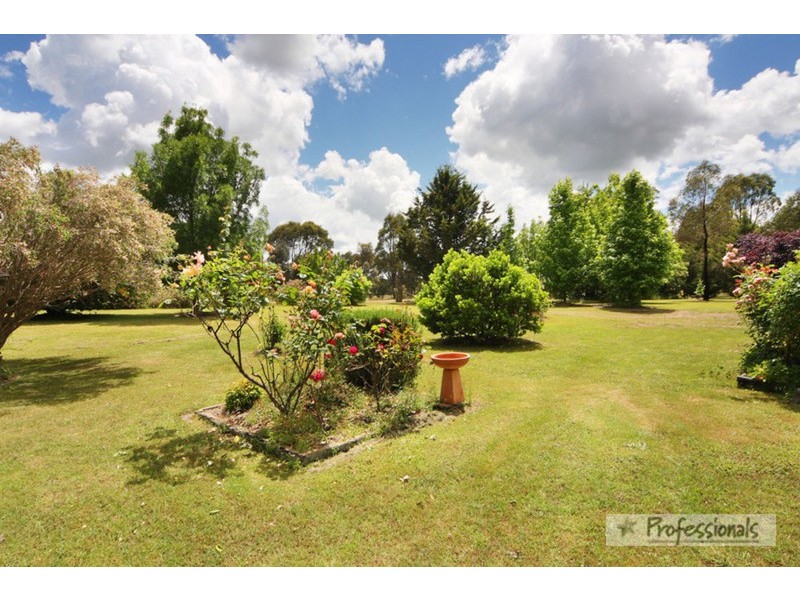 Armidale NSW 2350