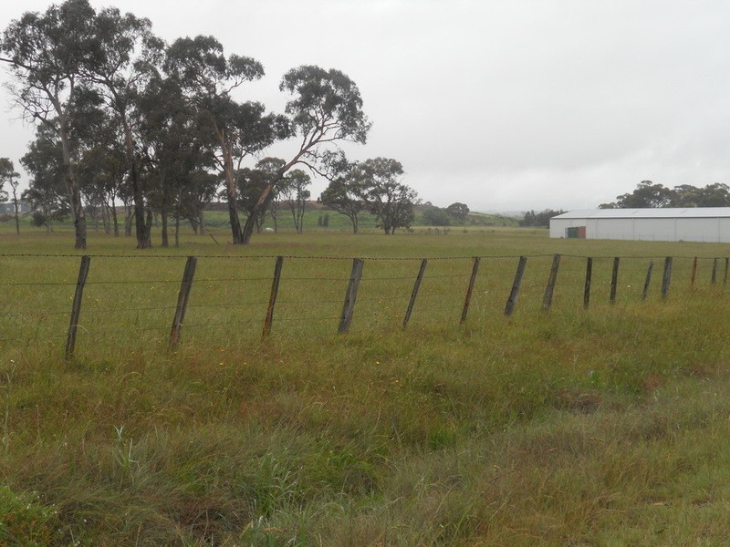 Lot /919 Seaton Street, Armidale NSW 2350
