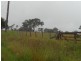 Lot /919 Seaton Street, Armidale NSW 2350