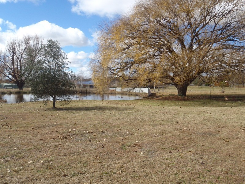 Armidale NSW 2350