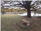 Armidale NSW 2350