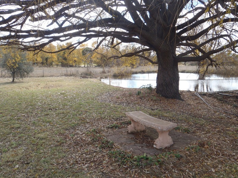 Armidale NSW 2350