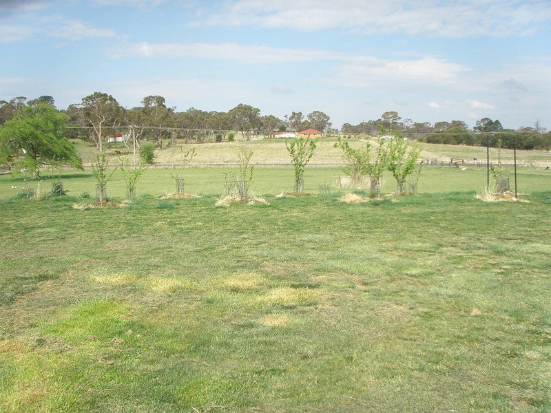 58 Dangarsleigh Road, Armidale NSW 2350