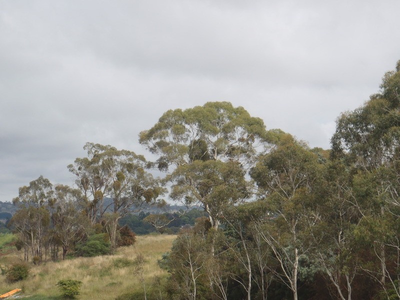 Armidale NSW 2350