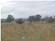 Armidale NSW 2350