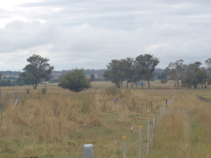 Armidale NSW 2350