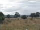 Armidale NSW 2350