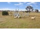 Armidale NSW 2350