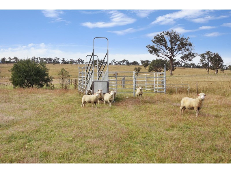 Armidale NSW 2350