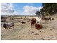 Uralla NSW 2358