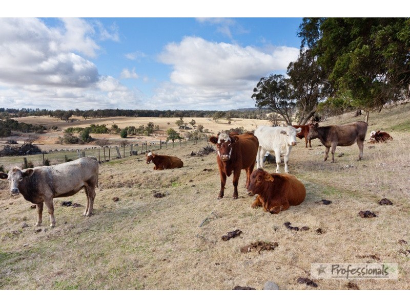 Uralla NSW 2358