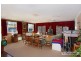 Armidale NSW 2350