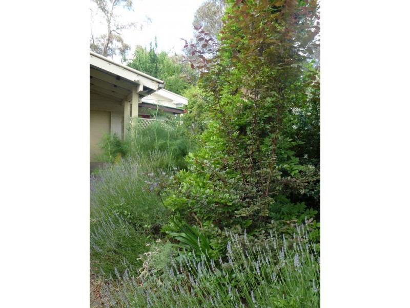 1/79 Erskine Street, Armidale NSW 2350