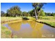Saumarez Ponds NSW 2350