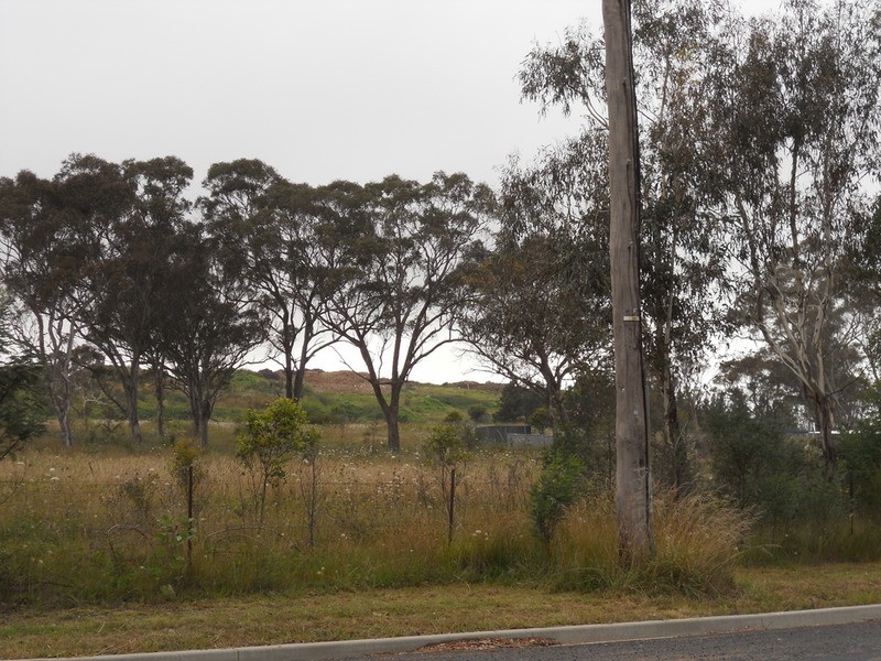 Lots 2 & 3/65 Seaton Street, Armidale NSW 2350