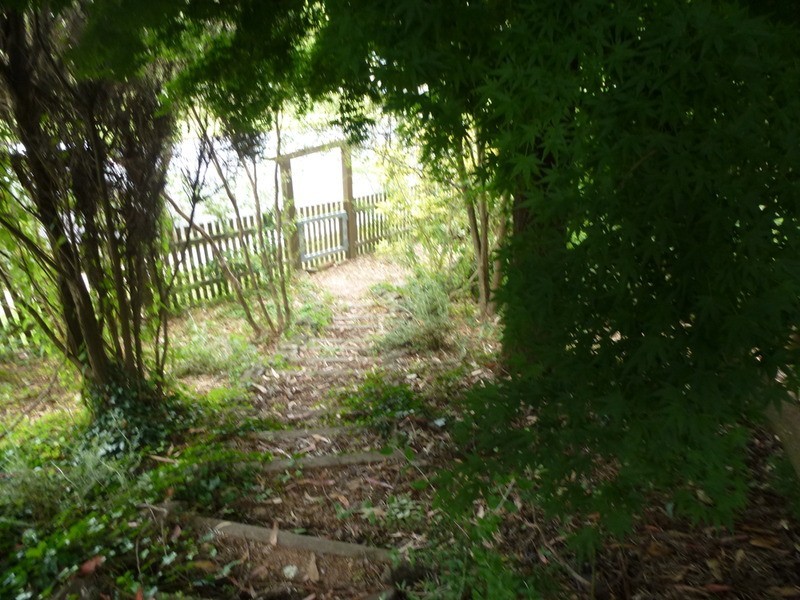 2 Nyssa Street, Armidale NSW 2350