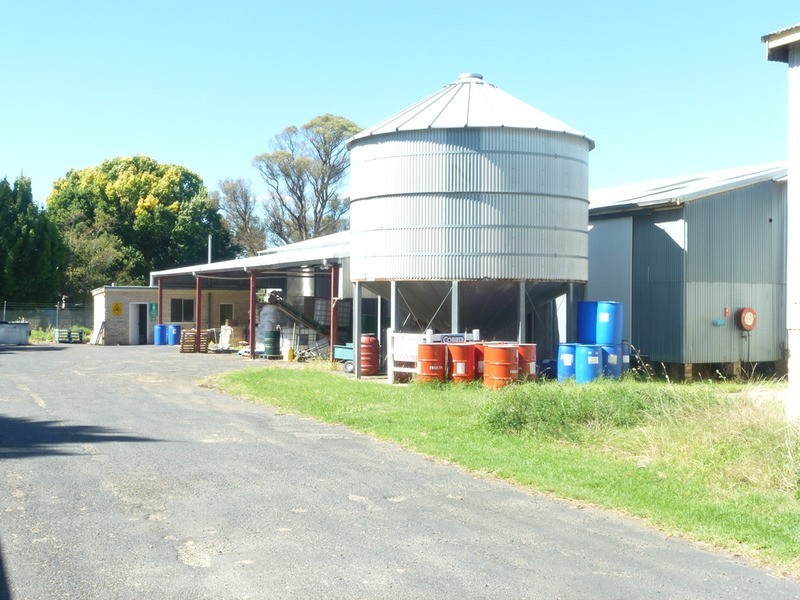 213 Barney Street, Armidale NSW 2350