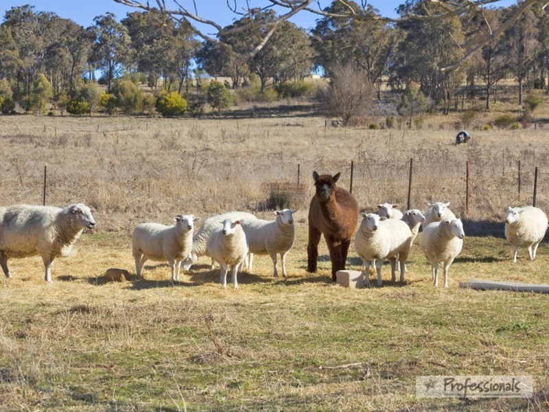 Invergowrie NSW 2350