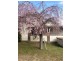 196 Jessie Street, Armidale NSW 2350