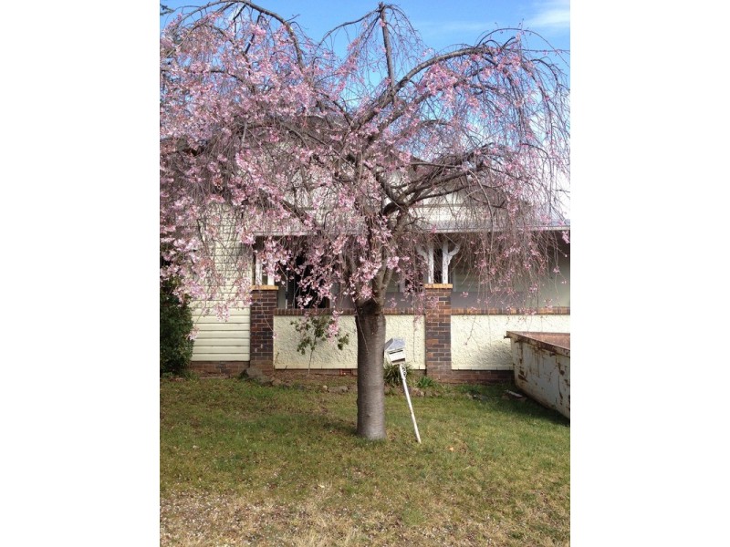 196 Jessie Street, Armidale NSW 2350