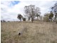 Armidale NSW 2350