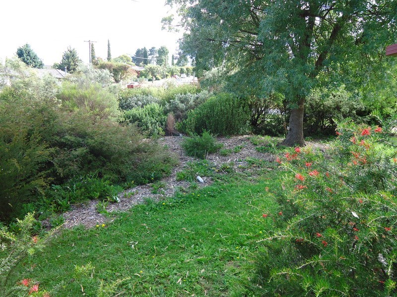 Armidale NSW 2350