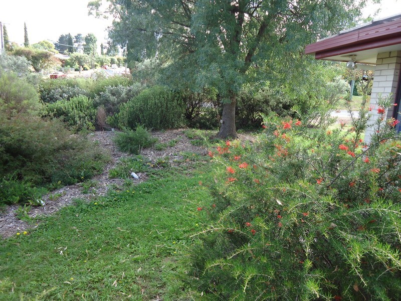 Armidale NSW 2350