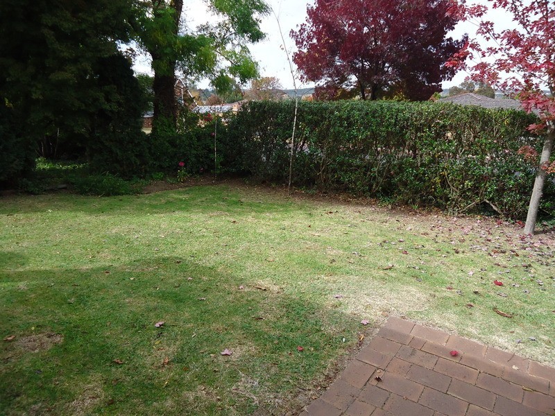 Armidale NSW 2350