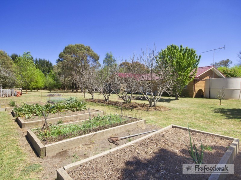 Armidale NSW 2350