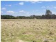 Armidale NSW 2350