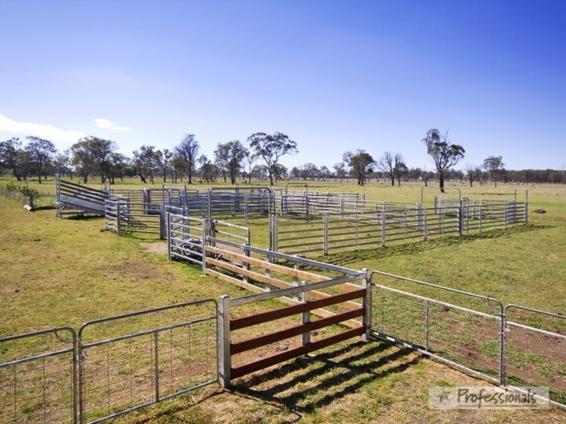 Armidale NSW 2350