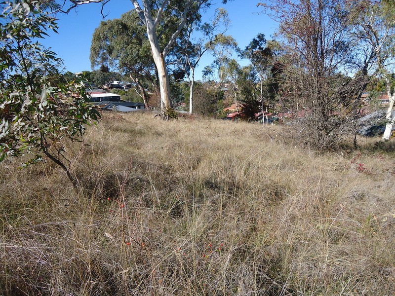 Armidale NSW 2350
