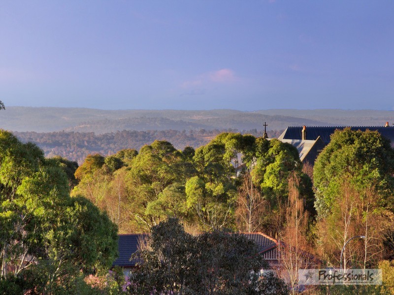 Armidale NSW 2350