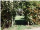 Armidale NSW 2350