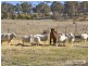 Armidale NSW 2350